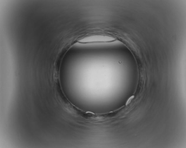 X0000115760419200911201202