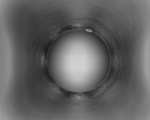 X0000115760420200911201202
