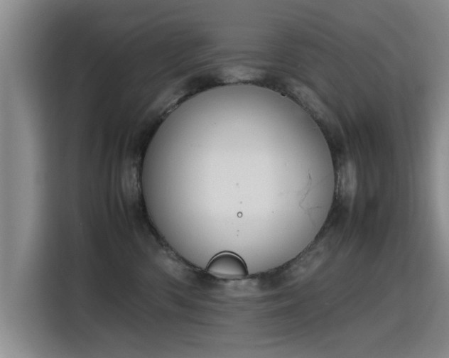 X0000115760426200911201202