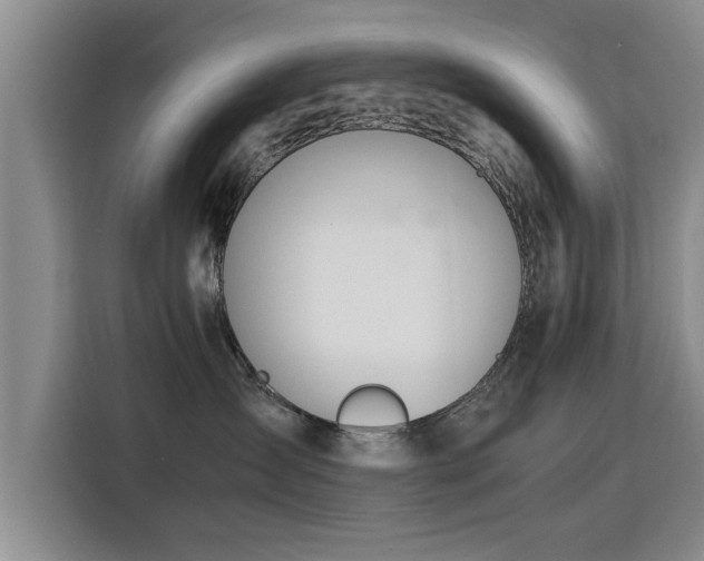 X0000115760431200911201202