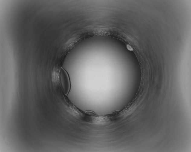 X0000115760432200911201202