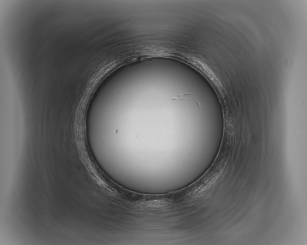 X0000115760433200911201201