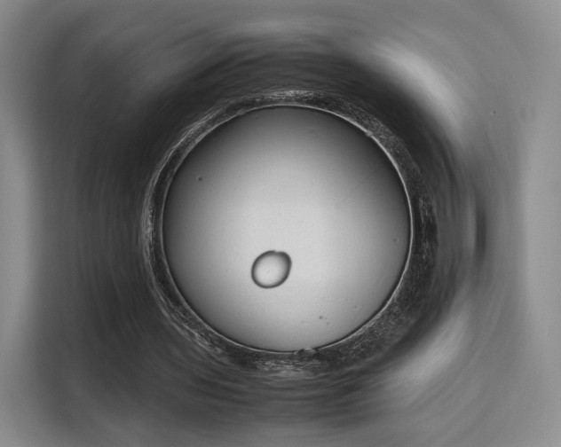 X0000115760435200911201201