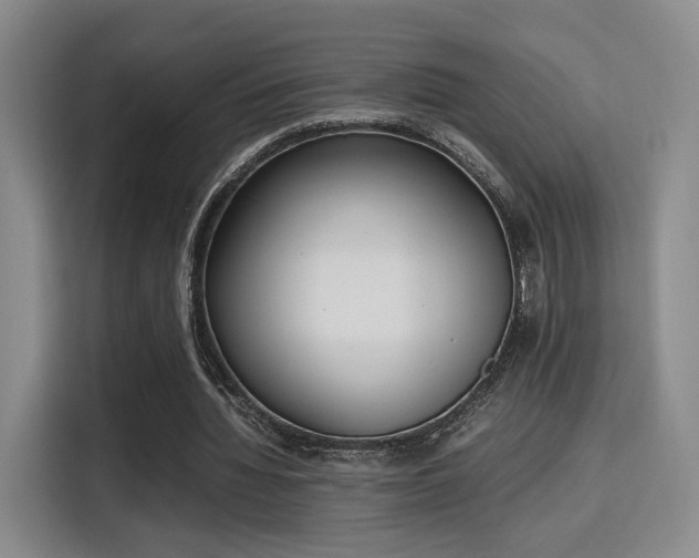 X0000115760436200911201201
