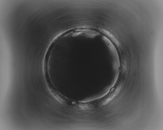 X0000115760439200911201201
