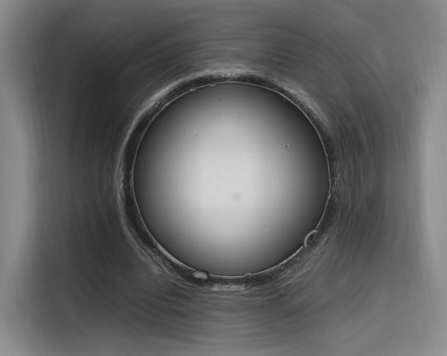 X0000115760440200911201201