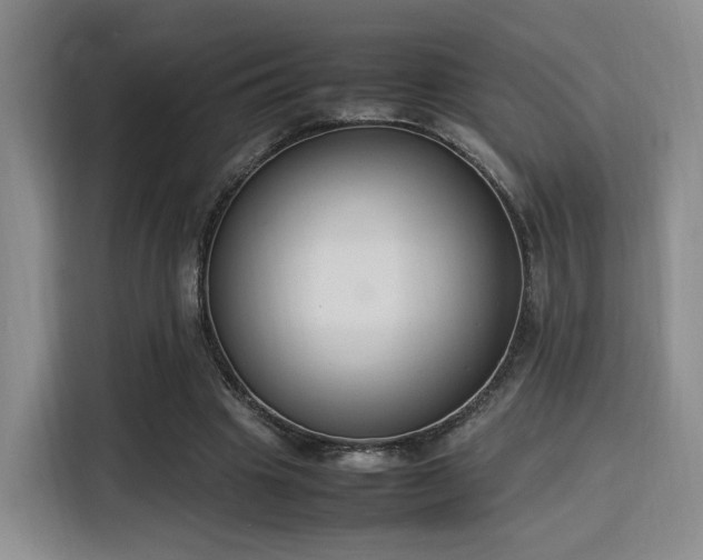 X0000115760441200911201201