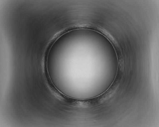 X0000115760442200911201201
