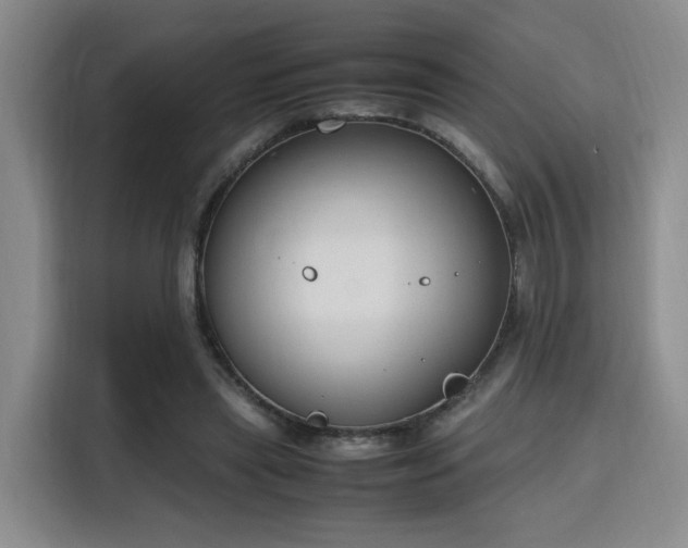 X0000115760445200911201201
