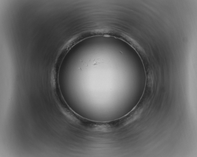 X0000115760446200911201201