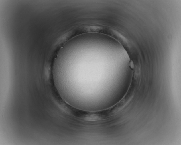 X0000115760451200911201201