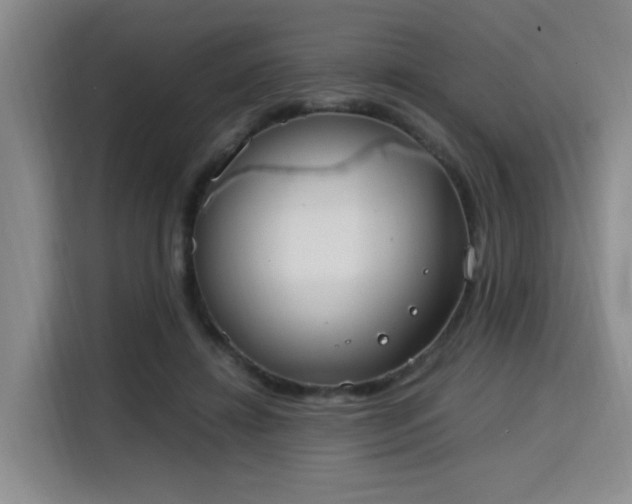 X0000115760452200911201202