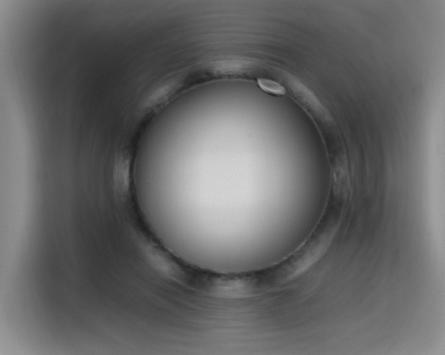 X0000115760454200911201202