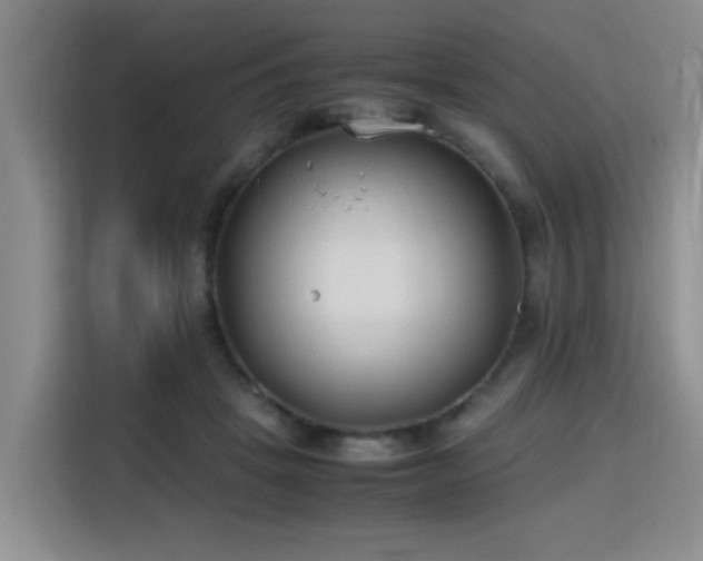 X0000115760457200911201202