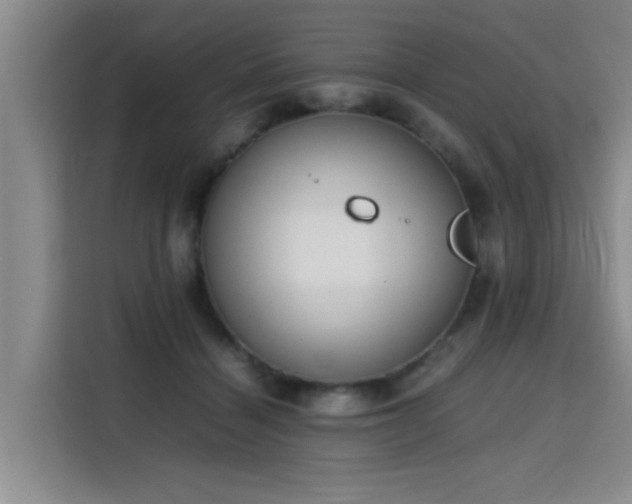 X0000115760460200911201202