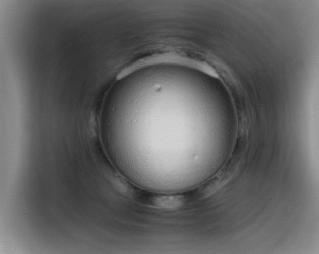 X0000115760465200911201202