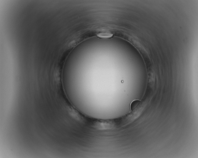 X0000115760466200911201202