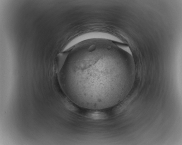 X0000115760467200911201202