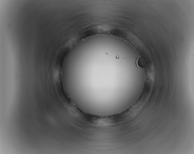 X0000115760468200911201202