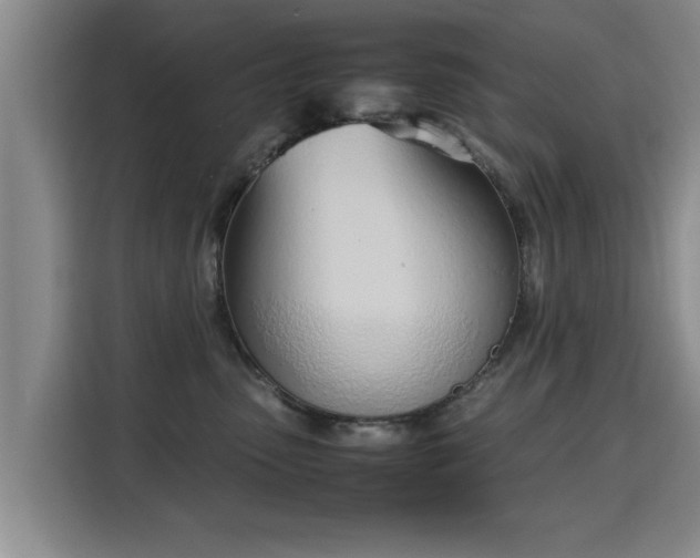 X0000115760475200911201202