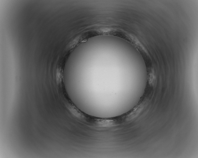 X0000115760476200911201202