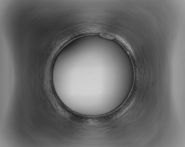 X0000115760481200911201201