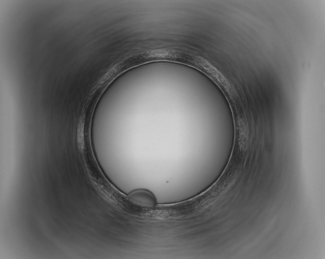 X0000115760482200911201201