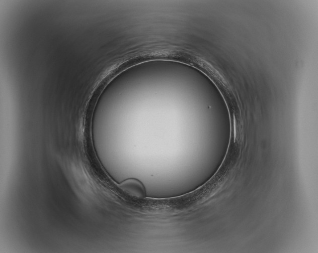X0000115760483200911201201