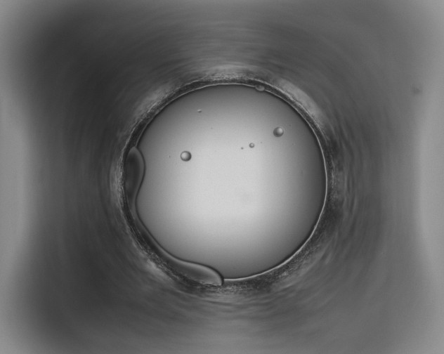 X0000115760485200911201201