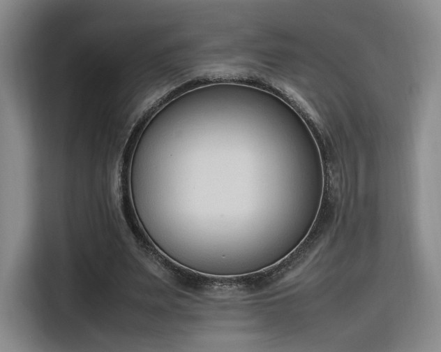 X0000115760487200911201201