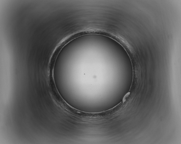 X0000115760488200911201201