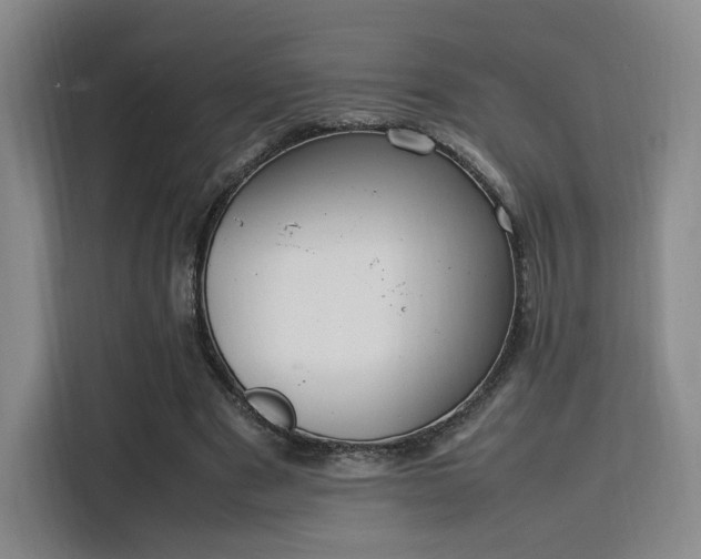 X0000115760489200911201201