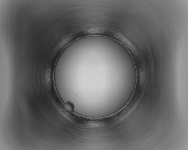 X0000115760490200911201201