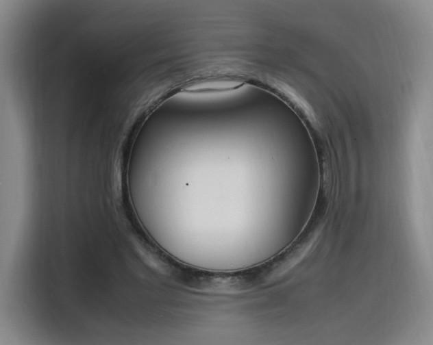 X0000115760493200911201201