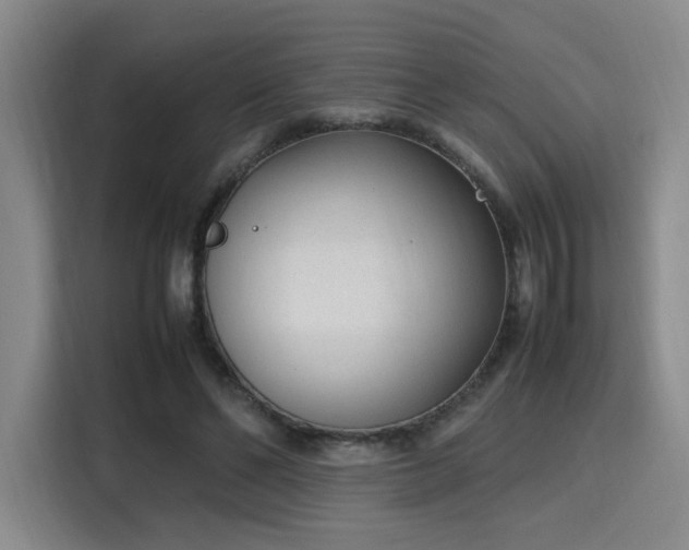 X0000115760494200911201201