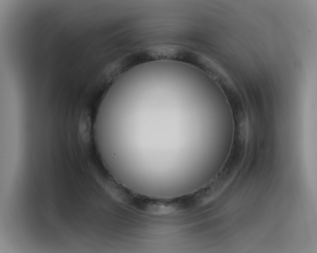 X0000115760498200911201201