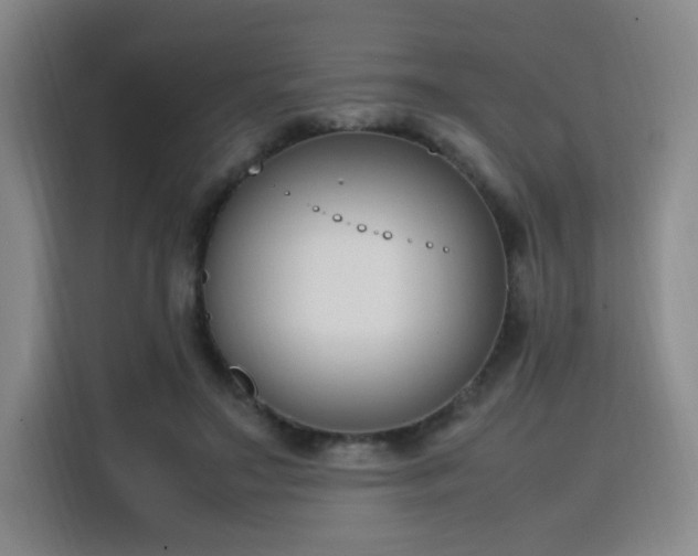 X0000115760499200911201201
