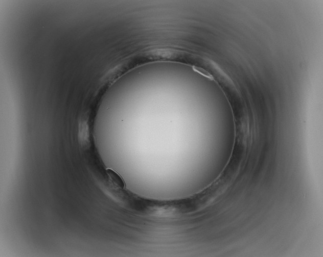 X0000115760500200911201201