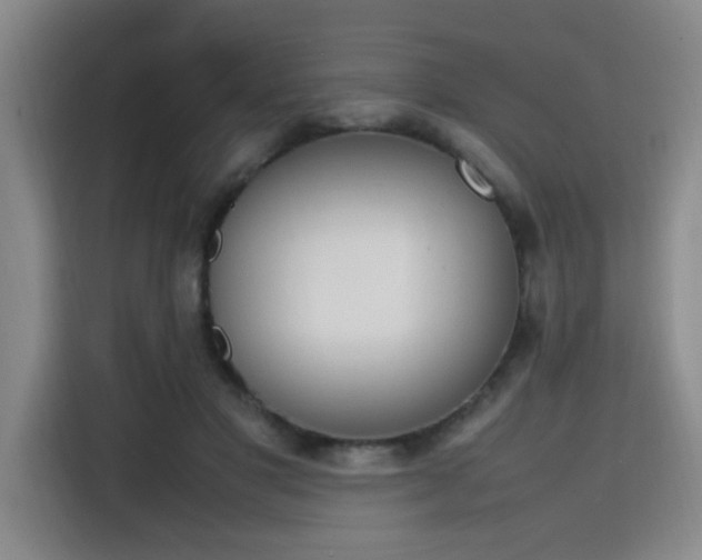 X0000115760501200911201201