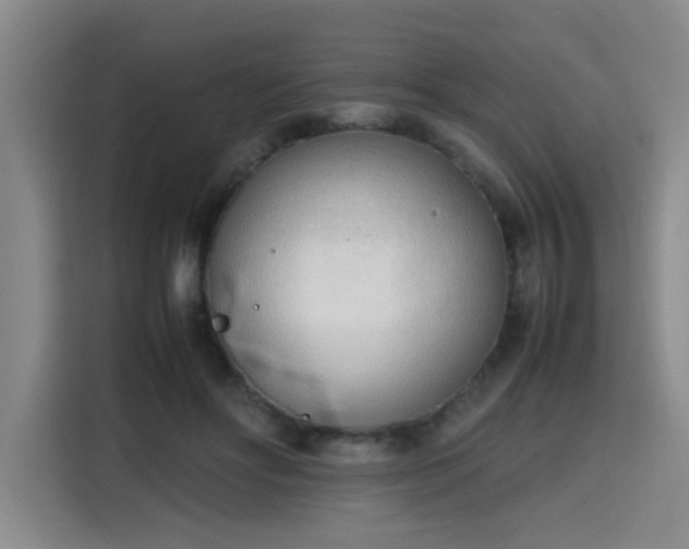 X0000115760502200911201201
