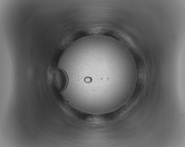 X0000115760503200911201201