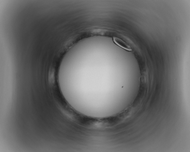 X0000115760504200911201201