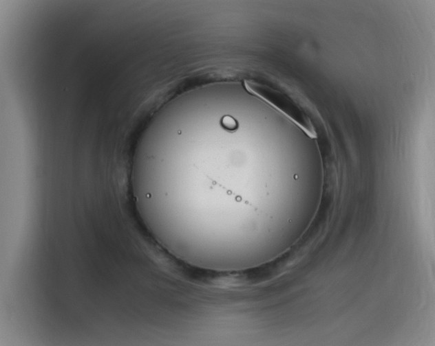 X0000115760505200911201201