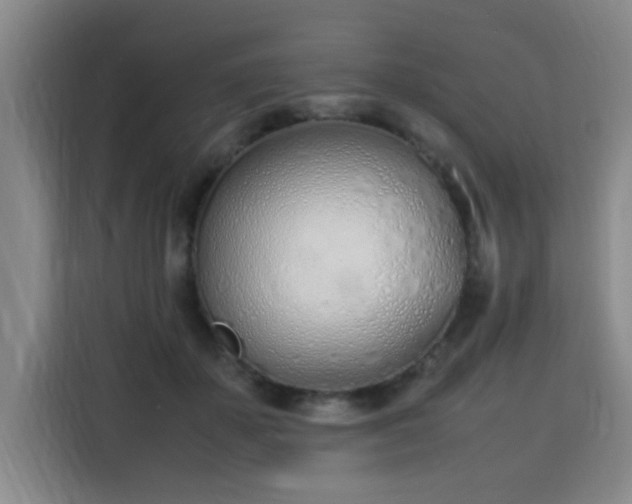 X0000115760507200911201201
