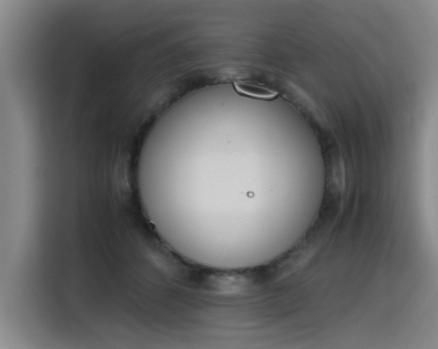 X0000115760512200911201201