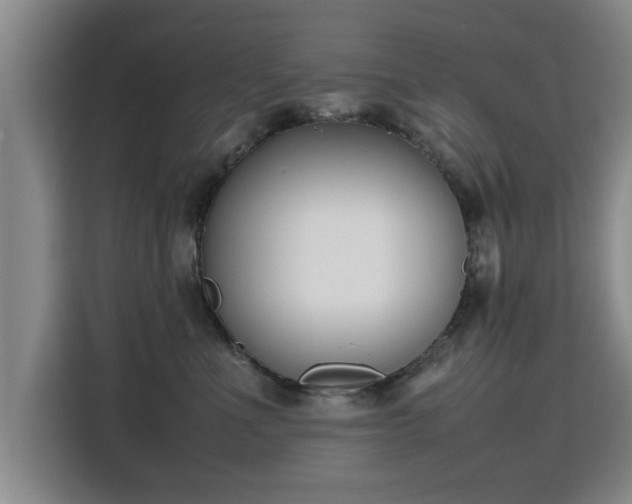 X0000115760523200911201201