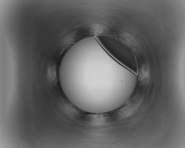 X0000115760524200911201201