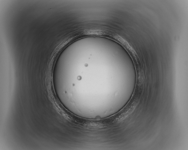X0000115760529200911201200