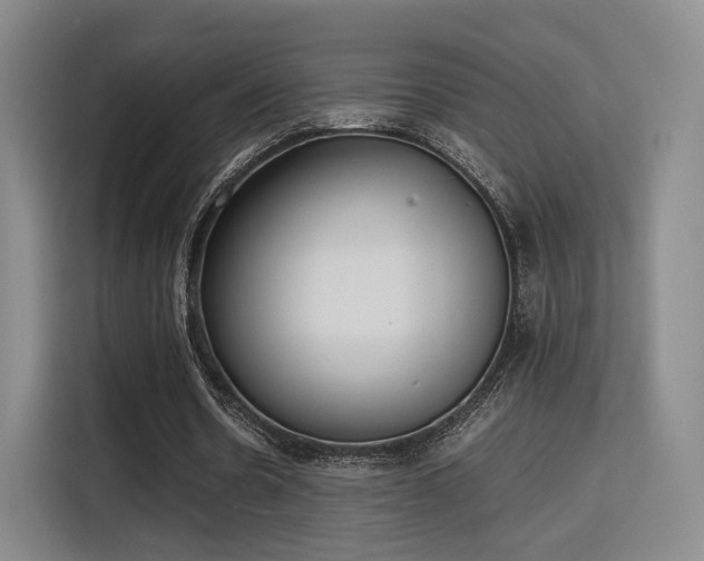 X0000115760530200911201200