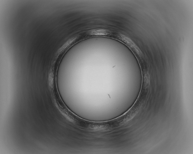 X0000115760533200911201200